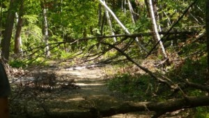 Тревненци започват почистване на екопътеки в Стара планина