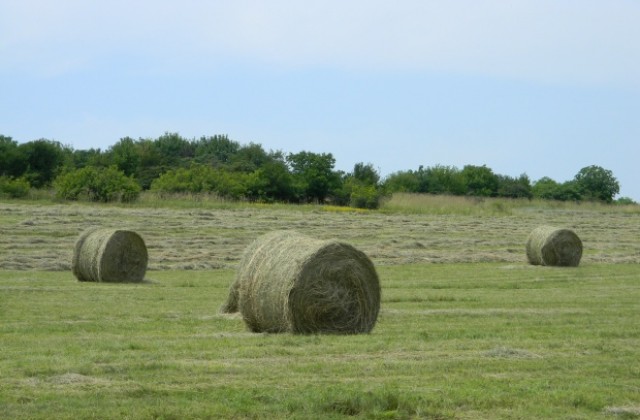 Заоблачава се, температурите падат