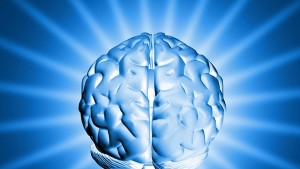 Учените разкриха защо грешат учените