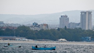 Уловът на цаца в Черно море намалява делфините се увеличават