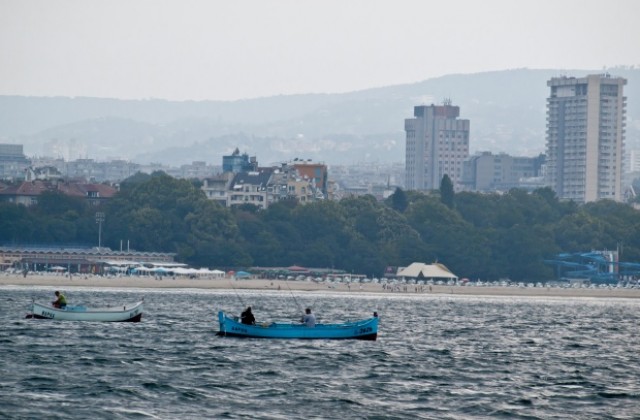 Уловът на цаца в Черно море намалява, делфините се увеличават