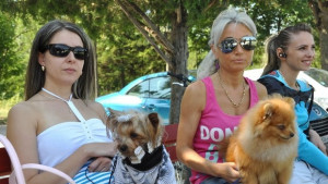 Водачи на кучета от страната се събират за семинар в