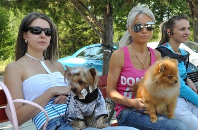 Водачи на кучета от страната се събират за семинар в Димитровград