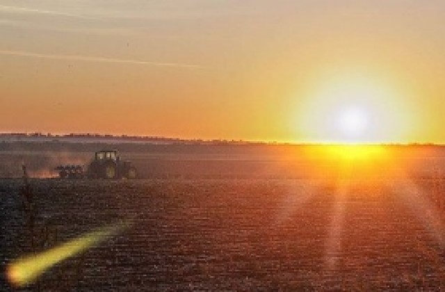 Кабинетът прие промени в Закона за защита на растенията