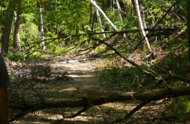 Велико Търново се включва в инициатива Да изчистим Стара планина