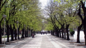 Третират за комари близо 600 000 квм площи в Стара