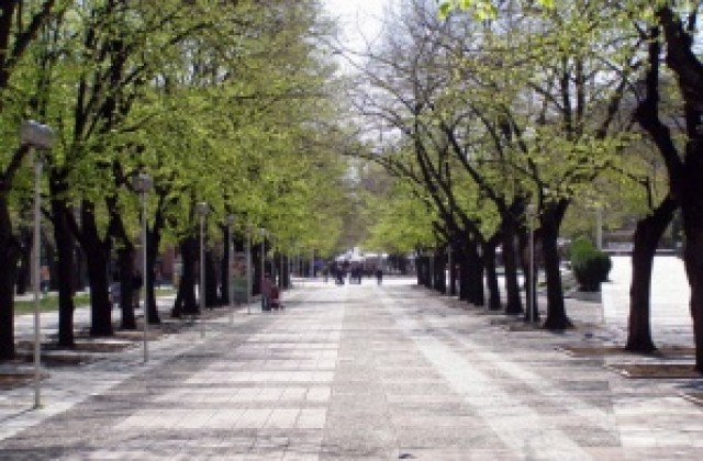 Третират за комари близо 600 000 кв.м. площи в Стара Загора