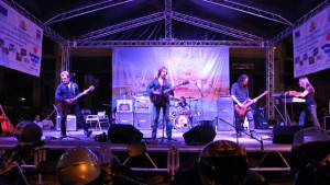 Divlje jagode пяха във Видин