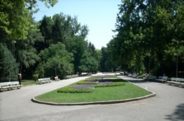 Повторно пръскат срещу вредители в парковете на В. Търново