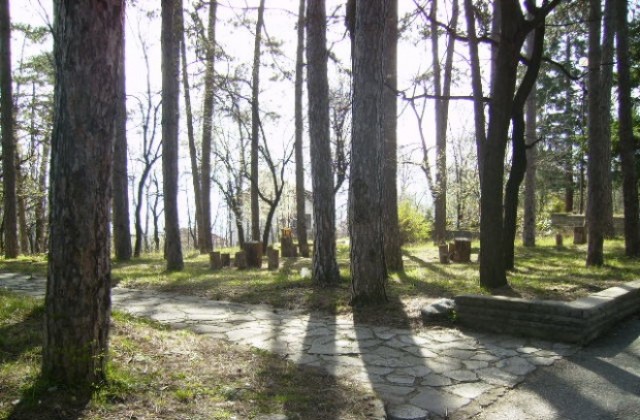 Дебат в ОС за сеч на изсъхнали дървета в лесопарк Хисарлъка