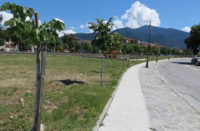 Озеленяват улици и паркове в Банско