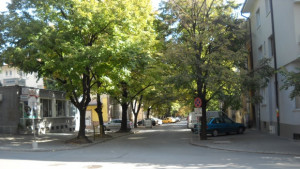 Протестна акция за проходими тротоари