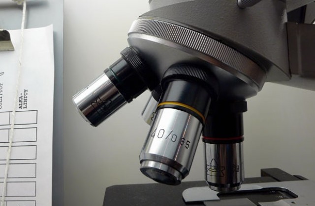 Разработват прозрачни фотоклетки