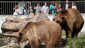 Иван Портних търси варианти за нов зоопарк