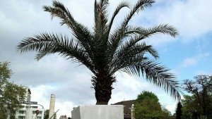 Уникални фотографии ще украсят входа на Морската градина