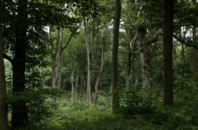 Двама загинаха при падане на лифт в Швейцария