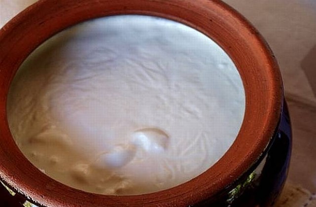 Над 2 млрд. души ядат кисело мляко, приготвено от оригинална българска закваска