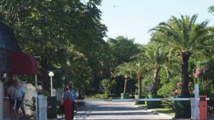 Разкриха план за бягство на депутатите от Евксиноград