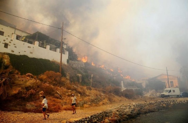 Пожар унищожи вековни маслинови дървета в Гърция