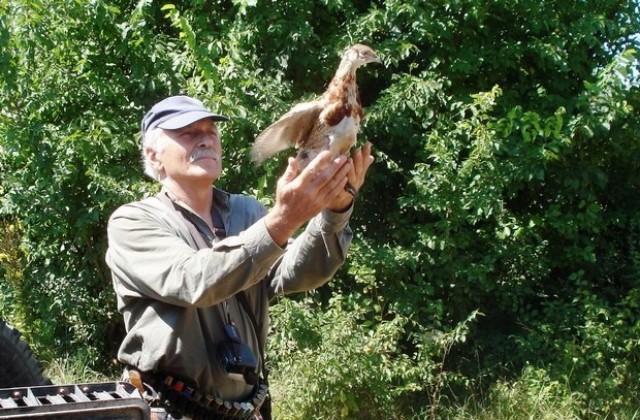 Над 3700 фазанчета разселиха горнооряховските ловци