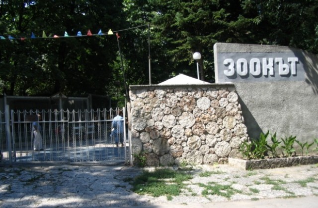 Във Варна учредяват асоциация на зоопарковете в България