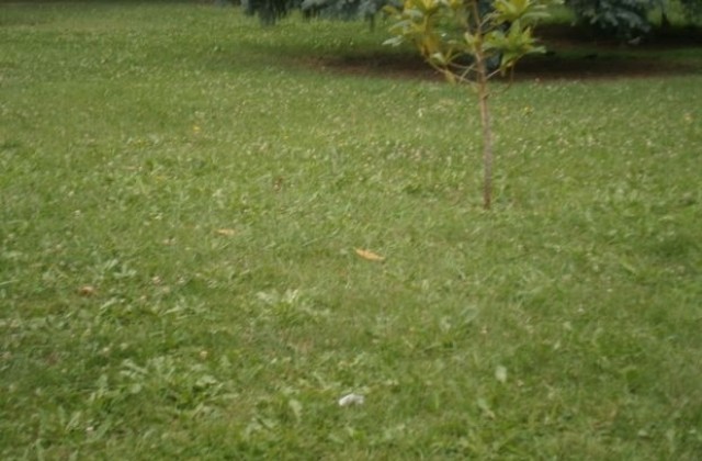 Денонощен патрул ще следи за сигурността в столицата