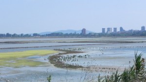 Август месец на Атанасовското езеро