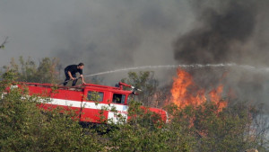 Овладяха пожара край Каменар