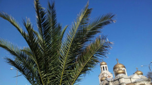 Голяма Богородица е две варненски църкви имат празник