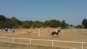 Конната база в Арбанаси отново е домакин на национално състезание