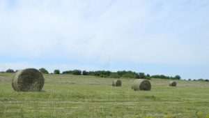 Лека прохлада