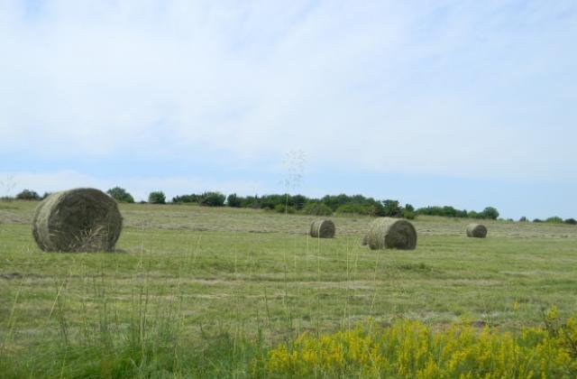 Лека прохлада