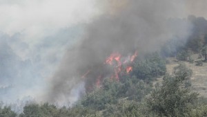 Серия от пожари потушиха огнеборците за денонощие