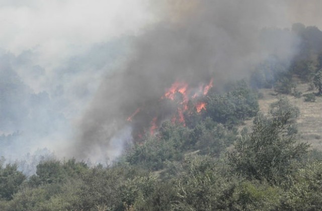 Серия от пожари потушиха огнеборците за денонощие