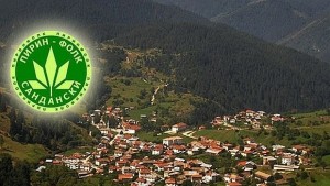 Пъстра палитра от изпълнители и богато шоу на Пирин фолк