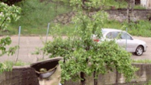 Жена пострада при пътен инциден