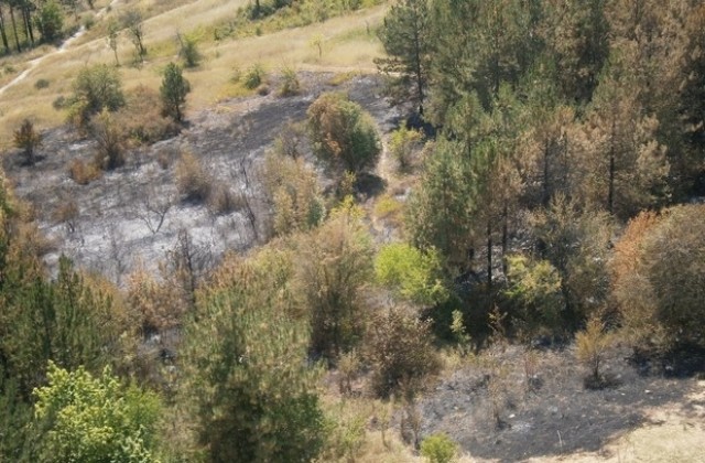Пожари унищожиха големи площи растителност край Плевен