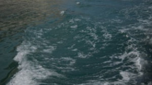 38годишен мъж се удави в морето край Шабла
