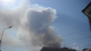 Гори борова гора на Аязмото