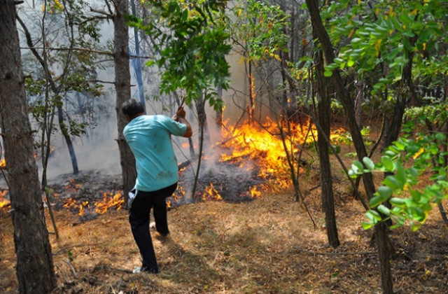 Локализираха пожара край Слънчево