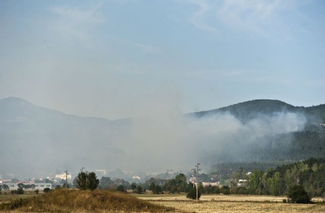 Борова гора пламна край софийското село Локорско (СНИМКИ)