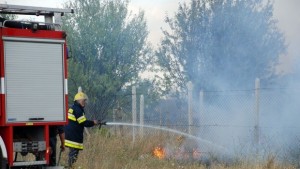 Горя овощна градина във вилна зона Каменец