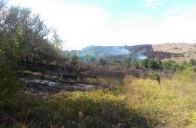 Огнената стихия в Еремия обхвана 800 дка, пожарът е локализиран