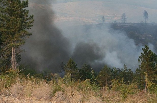 Локализиран е пожарът в Рила планина