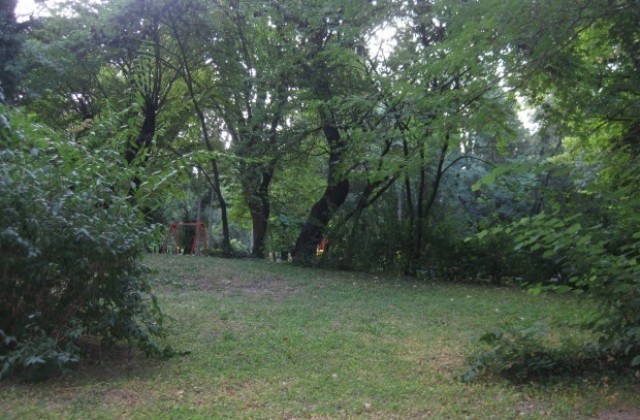 Пак пръскат срещу кърлежи в Стара Загора