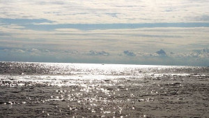 Варненец се удави край Слънчев бряг