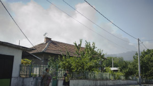 Няма превишения на вредни вещества във въздуха в района на