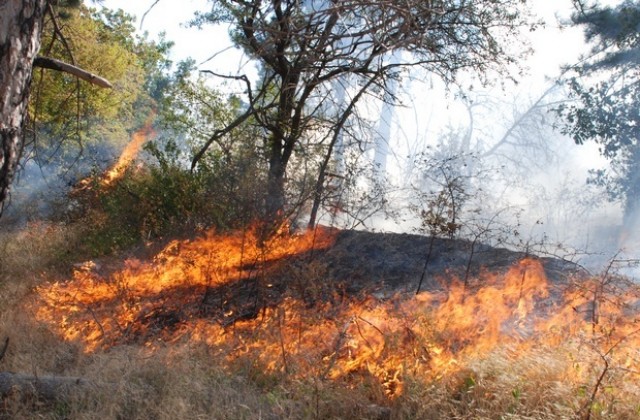 Продължава пожарът между селата Равна гора и Студена