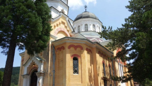 Пламна боровата гора над манастира в Кремиковци