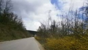 Две жертви при катастрофа край село Поповци